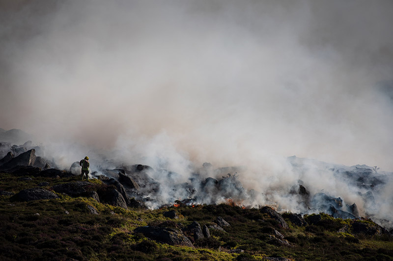Trying to beat wild fires with the help of drone technology
